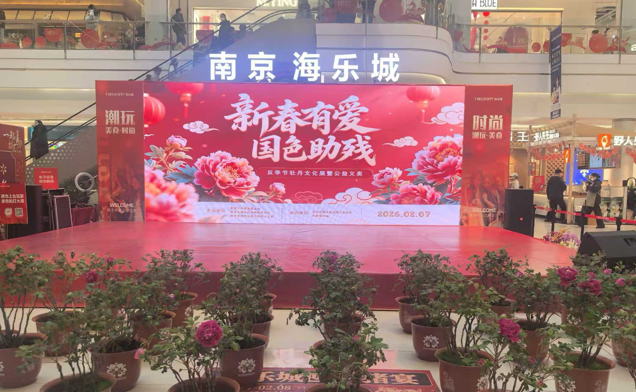 国色天香迎新春 爱心助残暖人心—南京方舟慈善基金会联合开展助残活动